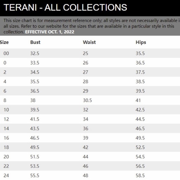 🥳Host pick 🎉 Terani Couture evening dress 1722E4201 - Picture 8 of 10